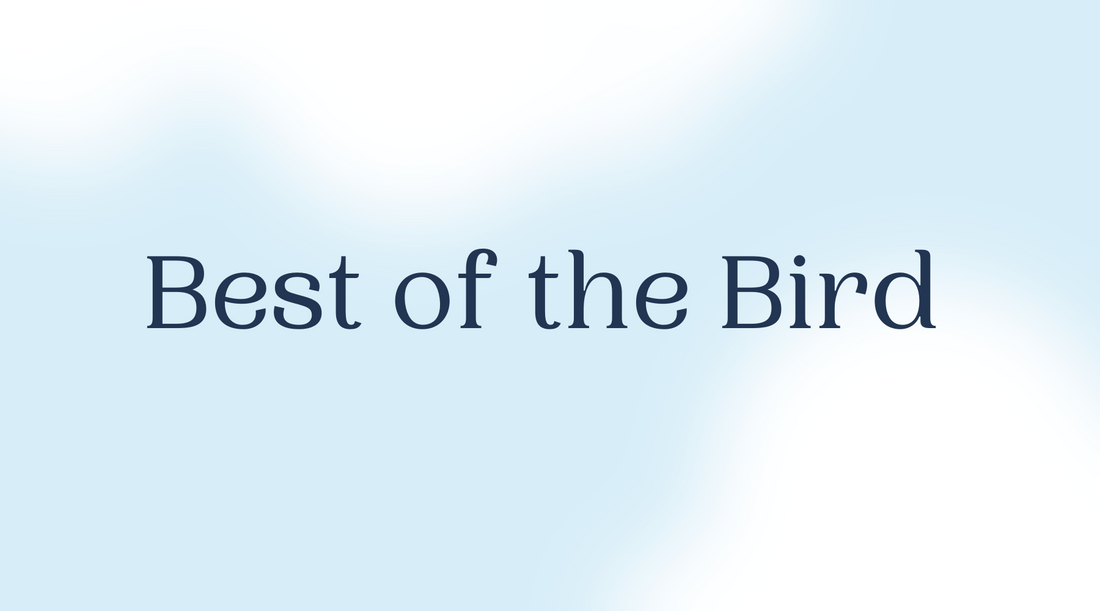 Summer Playlist 2021: Best of the Bird