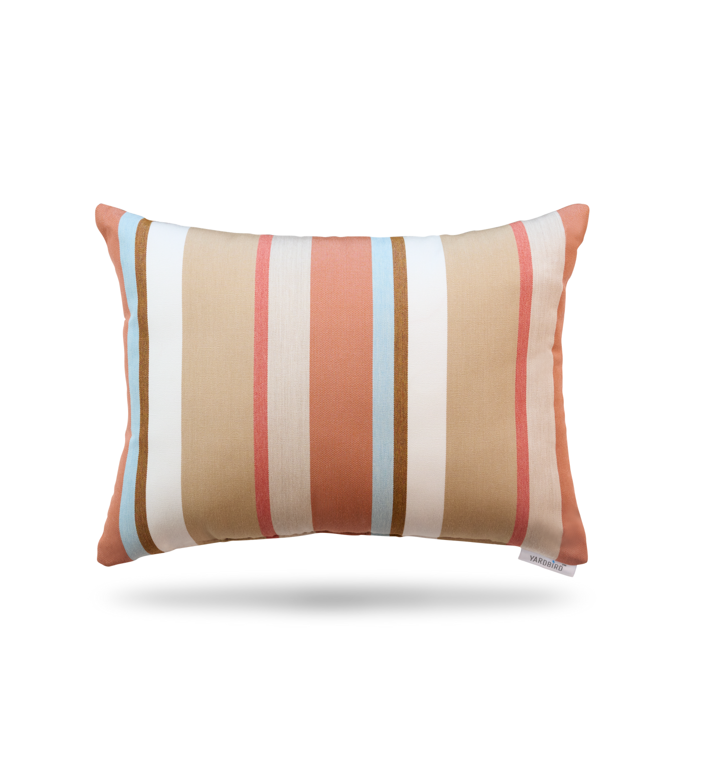 Beaming Mojave Pillow